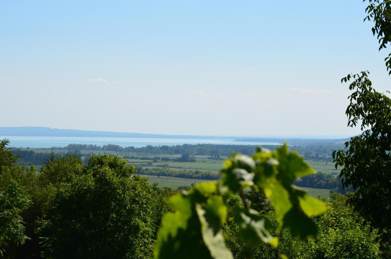 Vila Grand Cru 3. Vendeghaz Hegymagas Exteriér fotografie