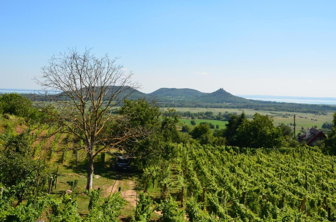 Vila Grand Cru 3. Vendeghaz Hegymagas Exteriér fotografie