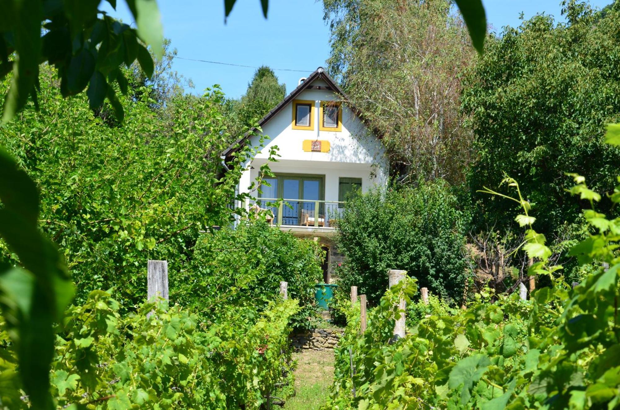 Vila Grand Cru 3. Vendeghaz Hegymagas Exteriér fotografie