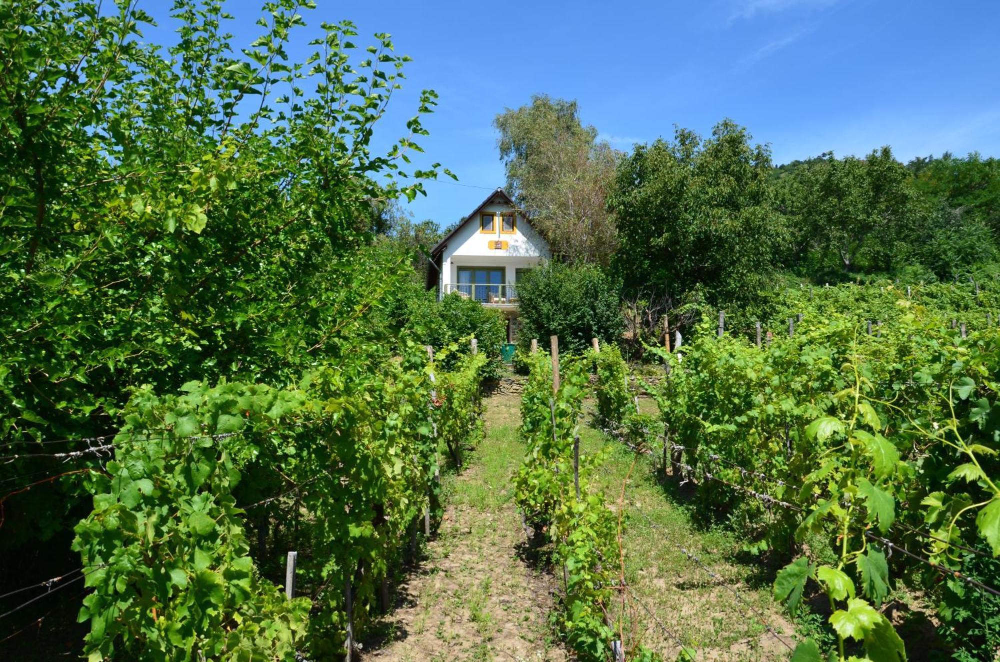 Vila Grand Cru 3. Vendeghaz Hegymagas Exteriér fotografie